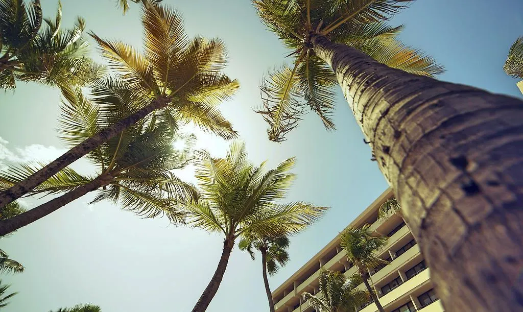 Barcelo Aruba Hotel Palm Beach Resort
